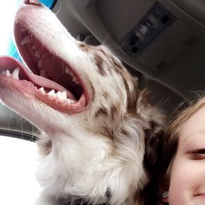 Meet your Posher, Jessica